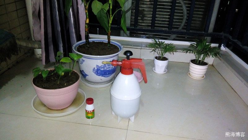 如何去除花盆土里的蚯蚓