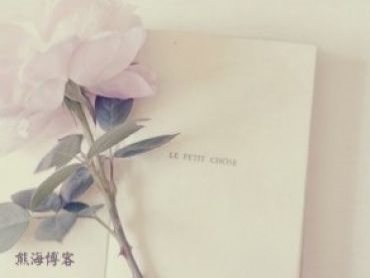 分析个人博客排名下降的原因