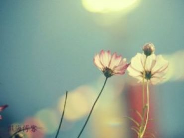 ESP8266如何测试电压？