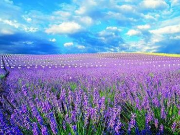 让百度迅速收录你的文章