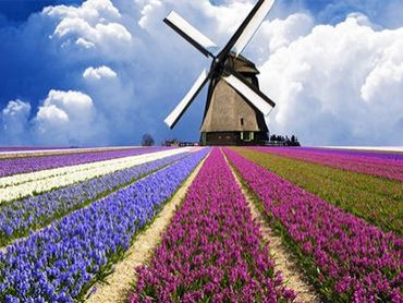 申请百度联盟解封