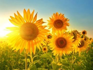 和优柔寡断的自己说再见