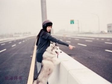 谷歌的服务很好