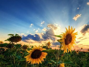 ESP8266如何测试电压？