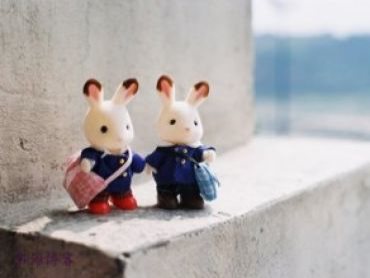 致程序交流群友及熊海博客的用户们