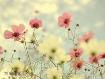 个人博客赚钱的必要性