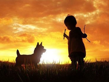 个人博客赚钱的必要性