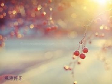 获取文章内的图片进行水印或缩放处理