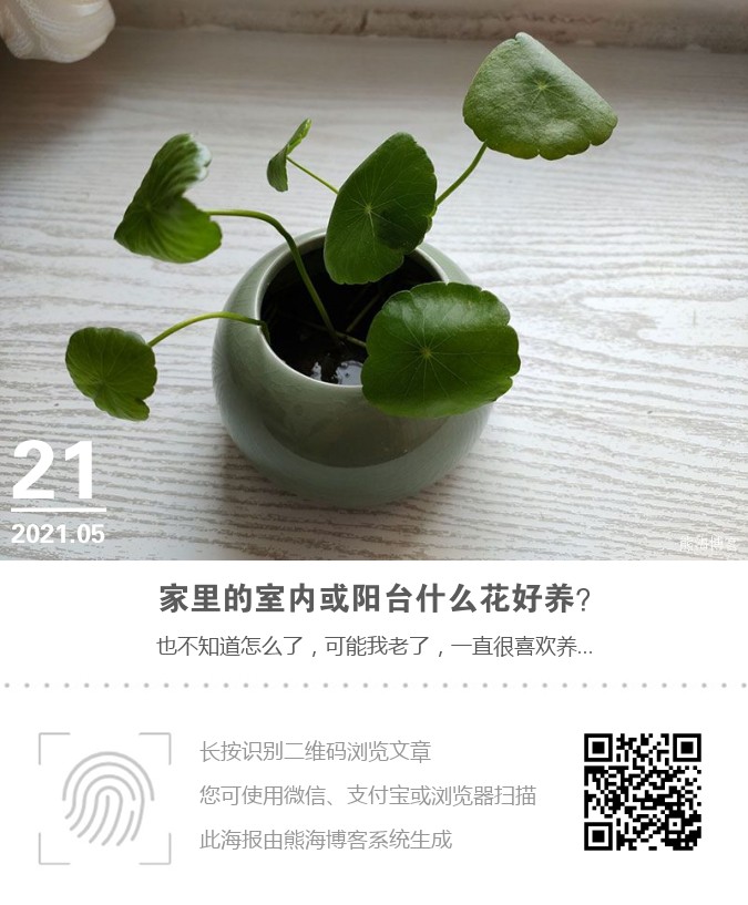 家里的室内或阳台什么花好养？海报
